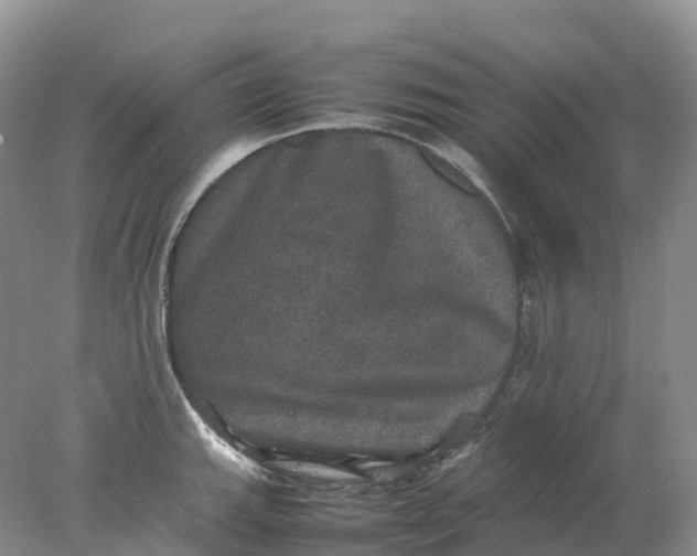 X0000078021143200611101840