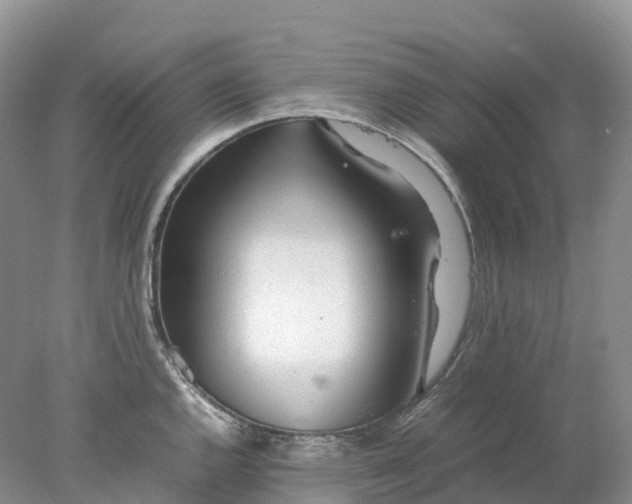 X0000078021144200611101840