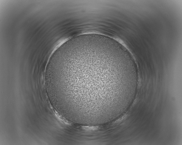 X0000078021145200611101840