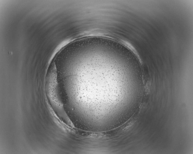 X0000078021146200611101840