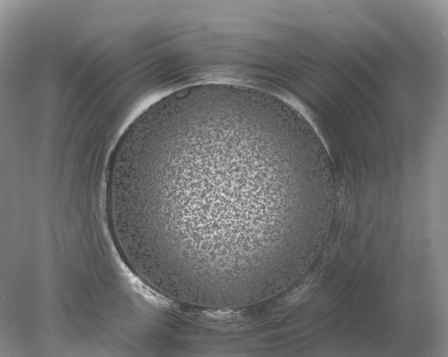 X0000078021147200611101840