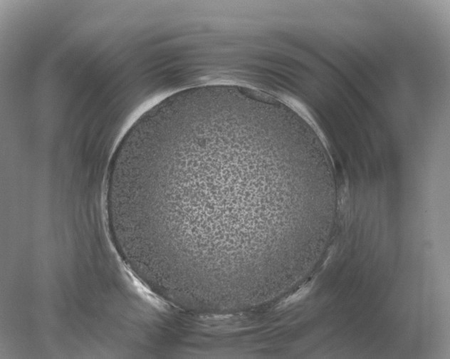 X0000078021149200611101840