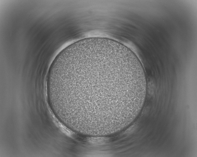 X0000078021150200611101840