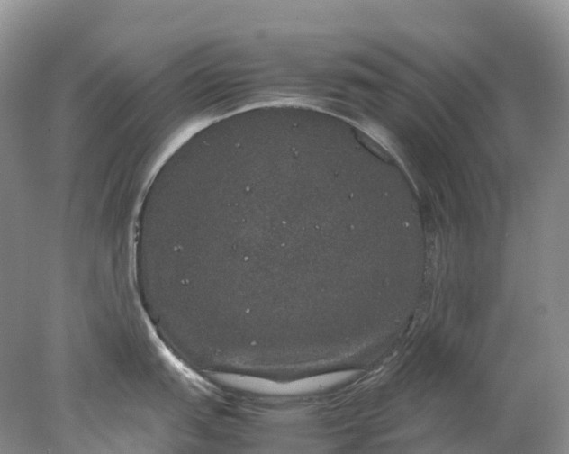 X0000078021151200611101840