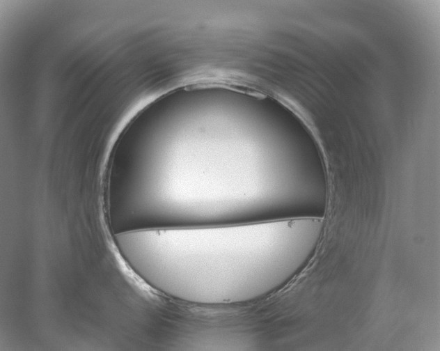 X0000078021152200611101840