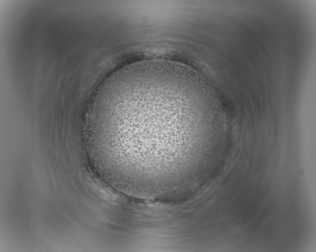 X0000078021153200611101839