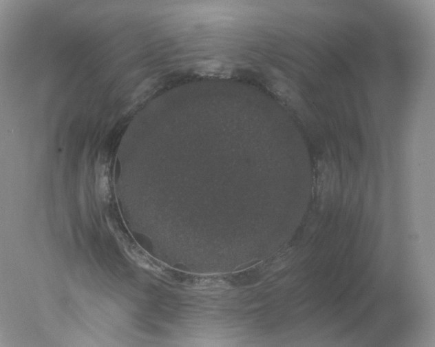 X0000078021154200611101839