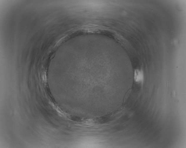 X0000078021155200611101839