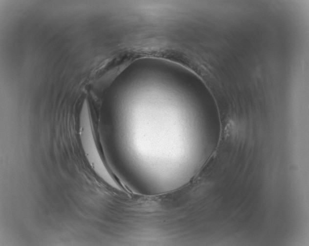 X0000078021156200611101839