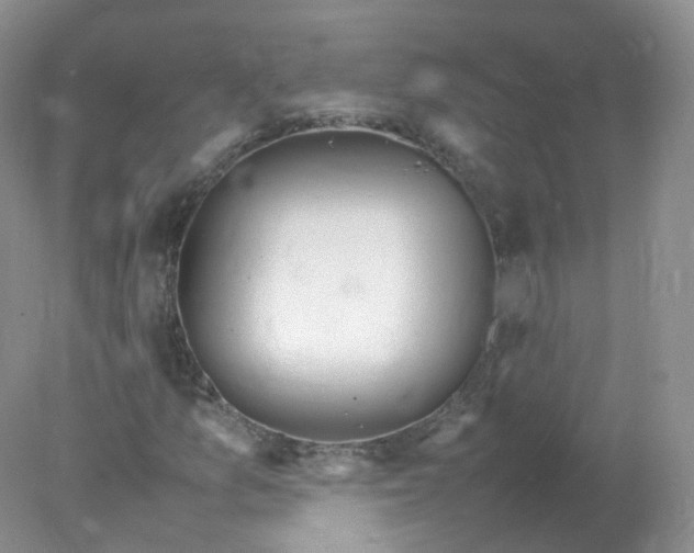 X0000078021157200611101839