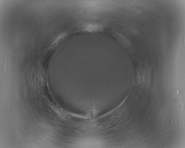 X0000078021158200611101839