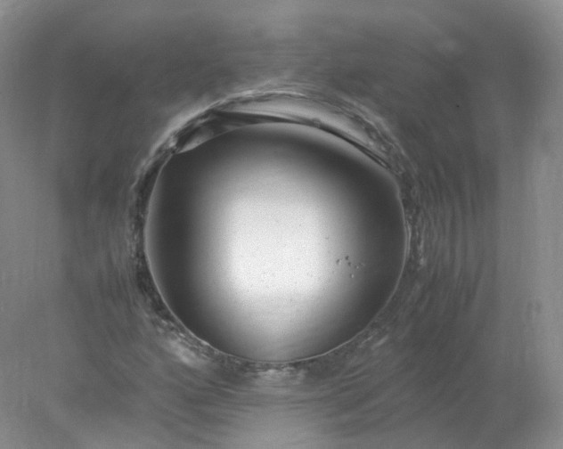 X0000078021160200611101839