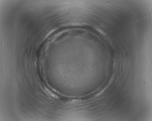 X0000078021161200611101839