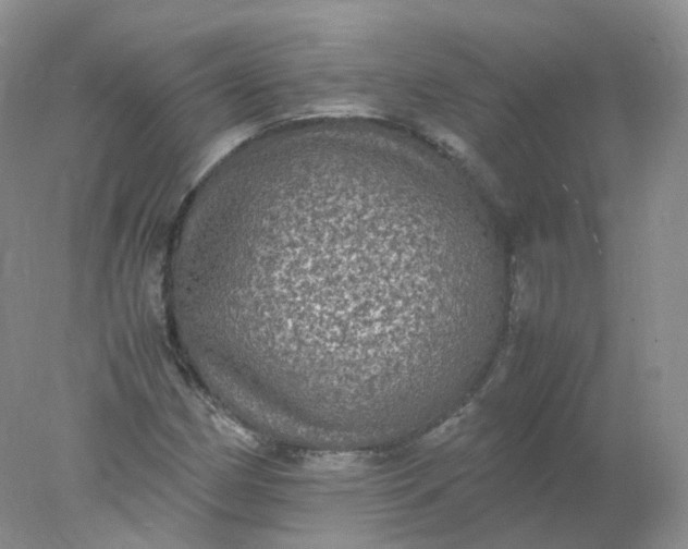 X0000078021162200611101839