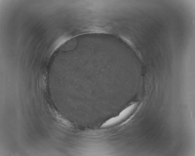 X0000078021163200611101839