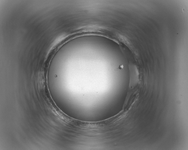 X0000078021164200611101839