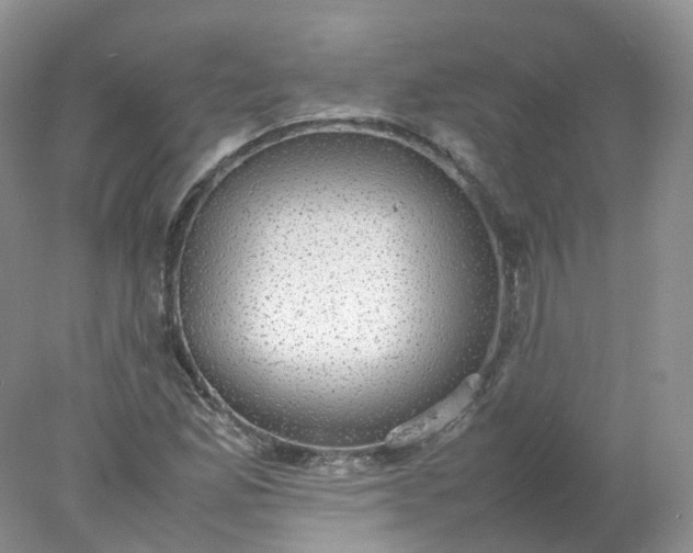 X0000078021165200611101839