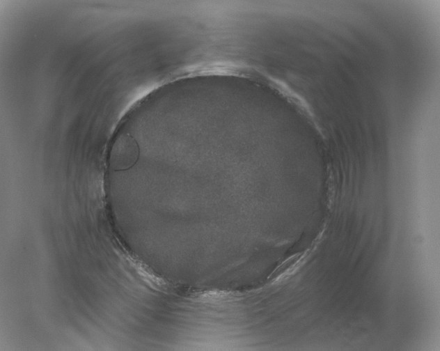 X0000078021166200611101839