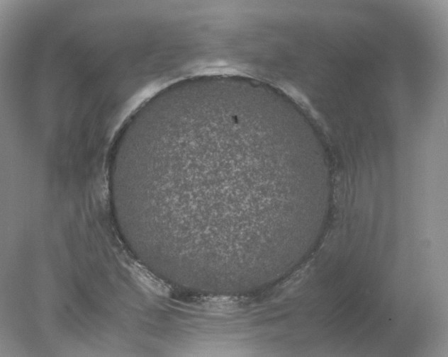 X0000078021167200611101839