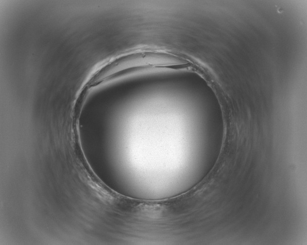 X0000078021168200611101839