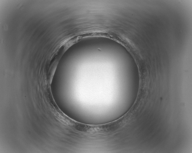 X0000078021169200611101839