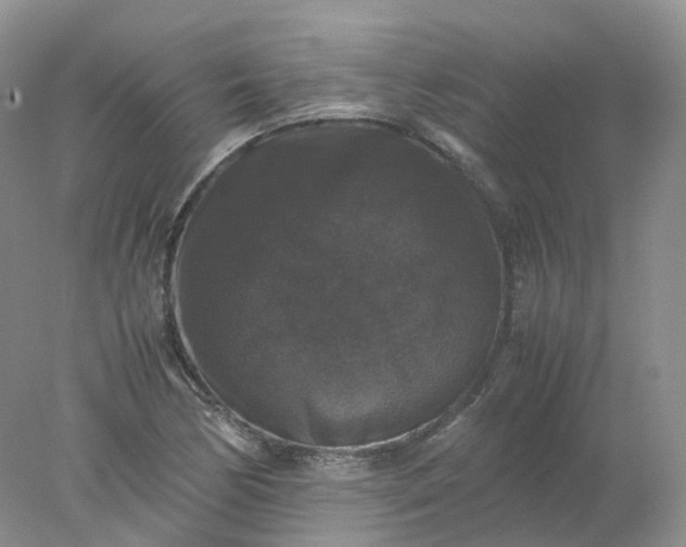 X0000078021170200611101839