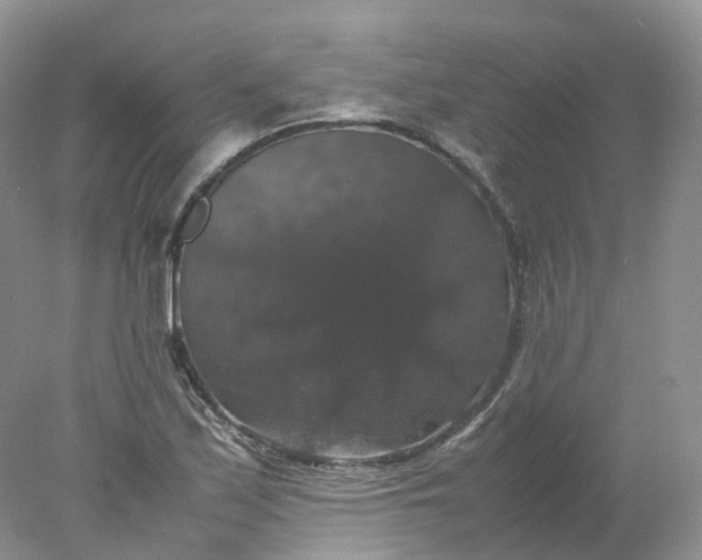 X0000078021171200611101839