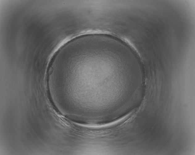 X0000078021173200611101839