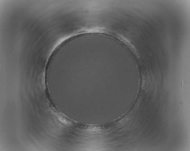 X0000078021174200611101839