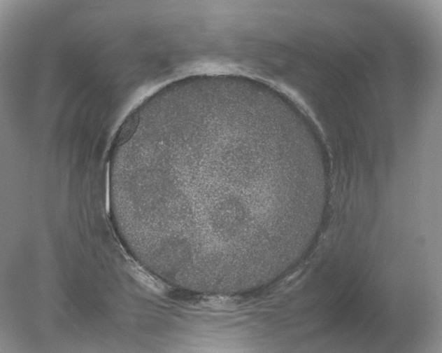 X0000078021175200611101839