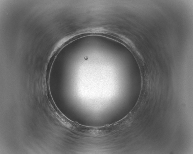 X0000078021176200611101839