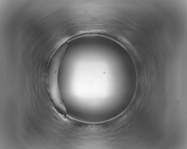 X0000078021177200611101839