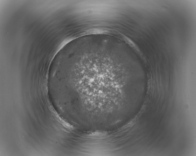 X0000078021178200611101839