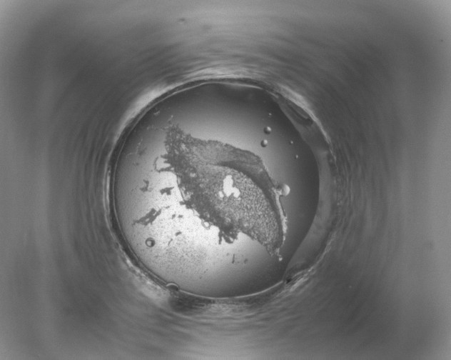 X0000078021179200611101839