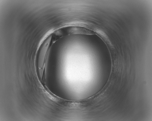 X0000078021180200611101839