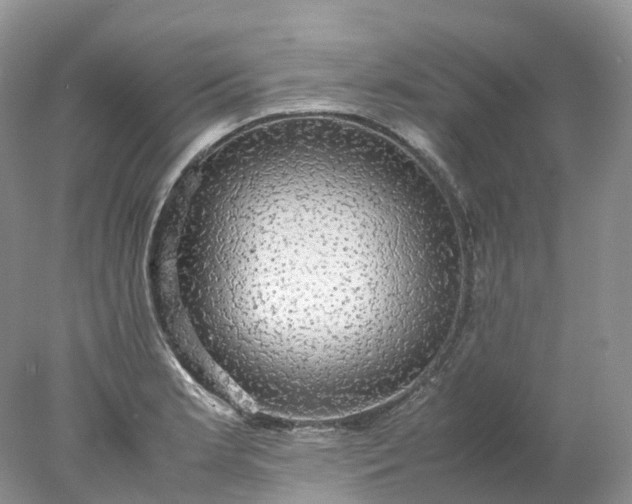 X0000078021181200611101839