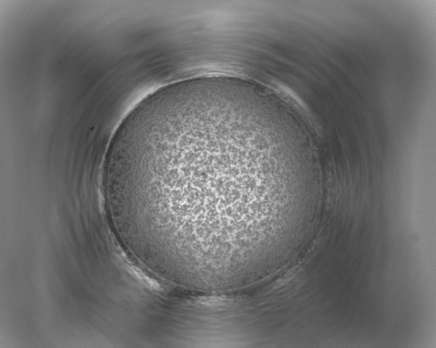 X0000078021182200611101839