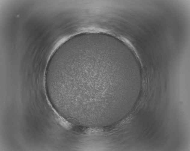 X0000078021183200611101839