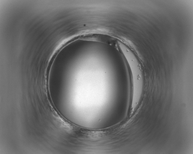 X0000078021184200611101839