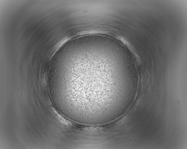 X0000078021185200611101839