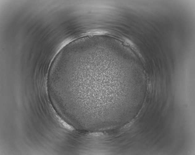 X0000078021186200611101839