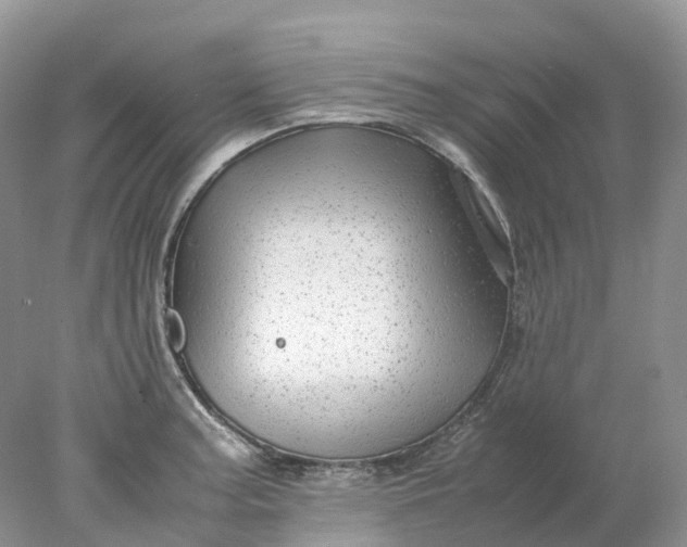 X0000078021187200611101839