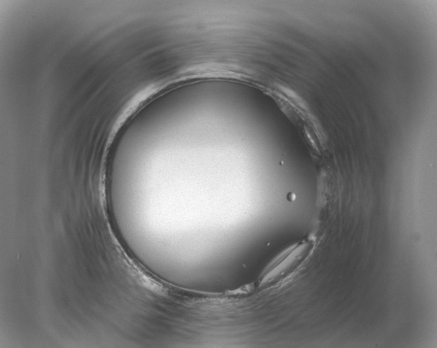 X0000078021188200611101839