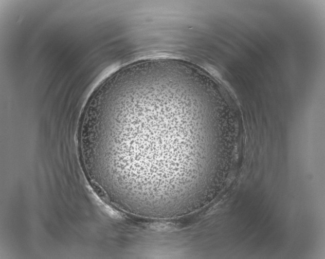 X0000078021189200611101839