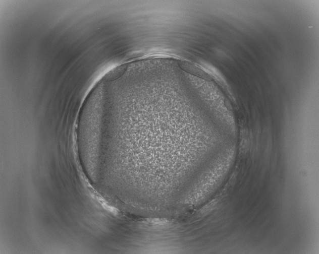 X0000078021190200611101839