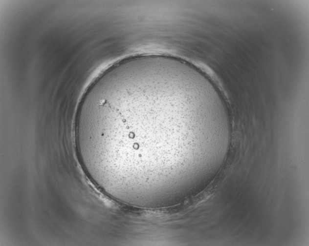 X0000078021191200611101839