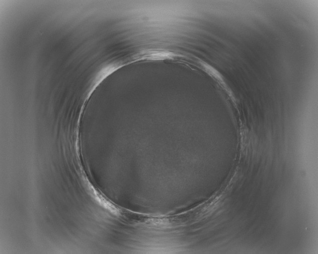 X0000078021194200611101839