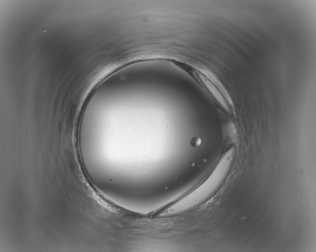 X0000078021197200611101839