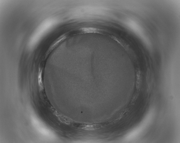 X0000078021198200611101839