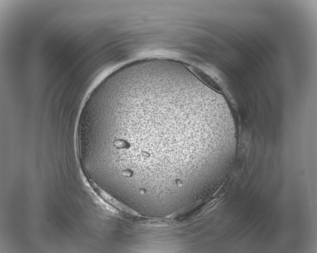 X0000078021199200611101839